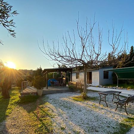 Olive Grove Vendégház Anáviszosz Kültér fotó