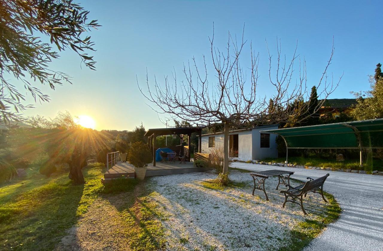 Olive Grove Vendégház Anáviszosz Kültér fotó